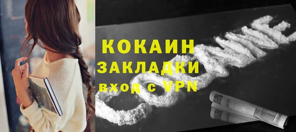 прущие грибы Белокуриха