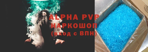 прущие грибы Белокуриха