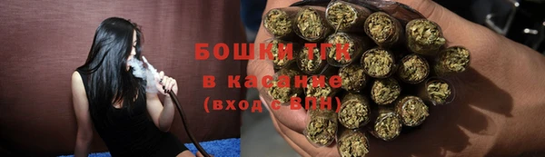 прущие грибы Белокуриха