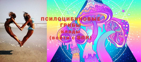 прущие грибы Белокуриха