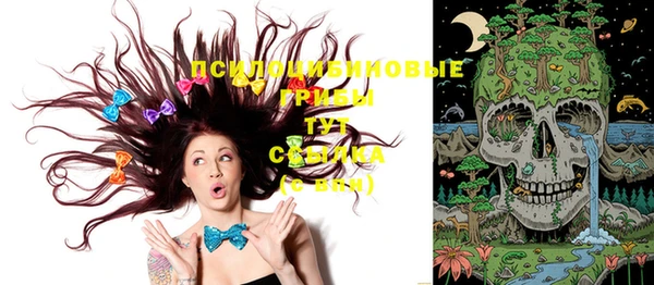 стафф Беломорск