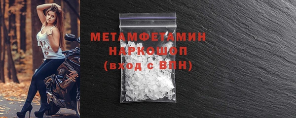 прущие грибы Белокуриха