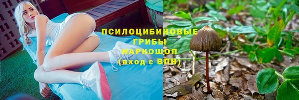 стафф Беломорск