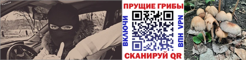 купить сайты Невель Галлюциногенные грибы мицелий
